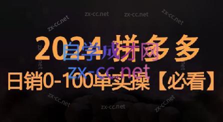 恒哥·2024拼多多日销0-100单实操-小毅网创