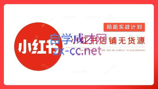 安琪·小红书店铺无货源-小毅网创