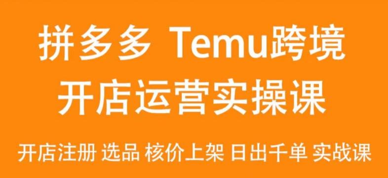 2024Temu最新玩法，Temu跨境开店运营实操课，开店注册/选品/核价上架/日出千单实战课-小毅网创