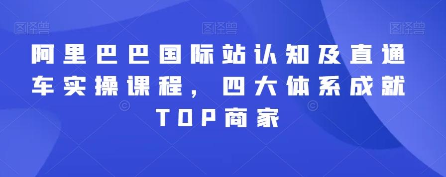 阿里巴巴国际站认知及直通车实操课程，四大体系成就TOP商家-小毅网创