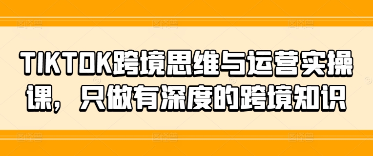 TIKTOK跨境思维与运营实操课，只做有深度的跨境知识 - 小毅网创-小毅网创