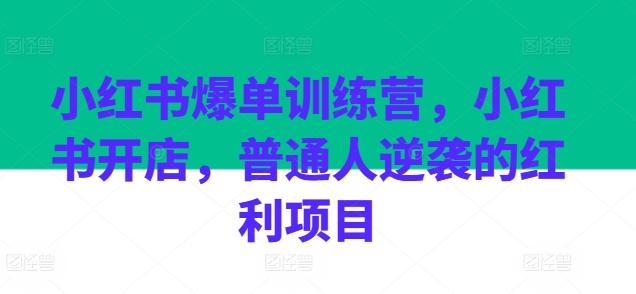 小红书爆单训练营，小红书开店，普通人逆袭的红利项目 - 小毅网创-小毅网创