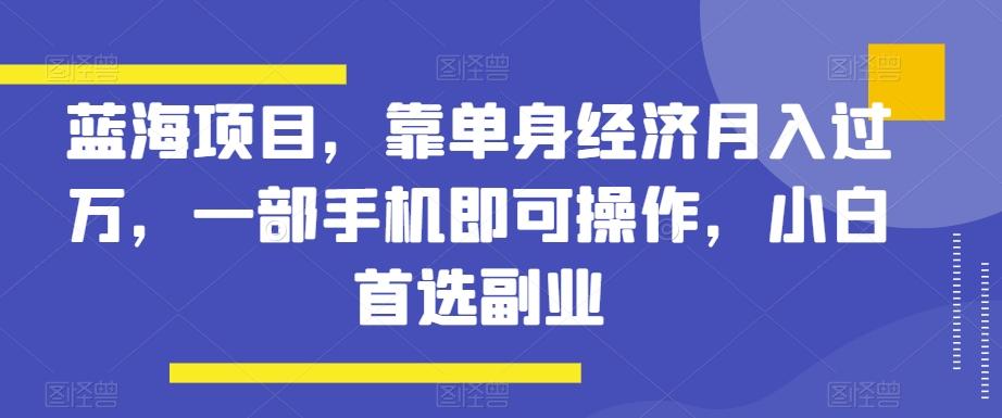 蓝海项目，靠单身经济月入过万，一部手机即可操作，小白首选副业【揭秘】 - 小毅网创-小毅网创
