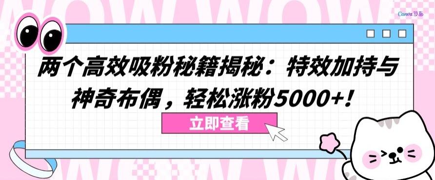 两个高效吸粉秘籍揭秘：特效加持与神奇布偶，轻松涨粉5000+【揭秘】-小毅网创