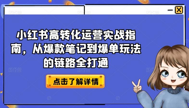 小红书高转化运营实战指南，从爆款笔记到爆单玩法的链路全打通 - 小毅网创-小毅网创