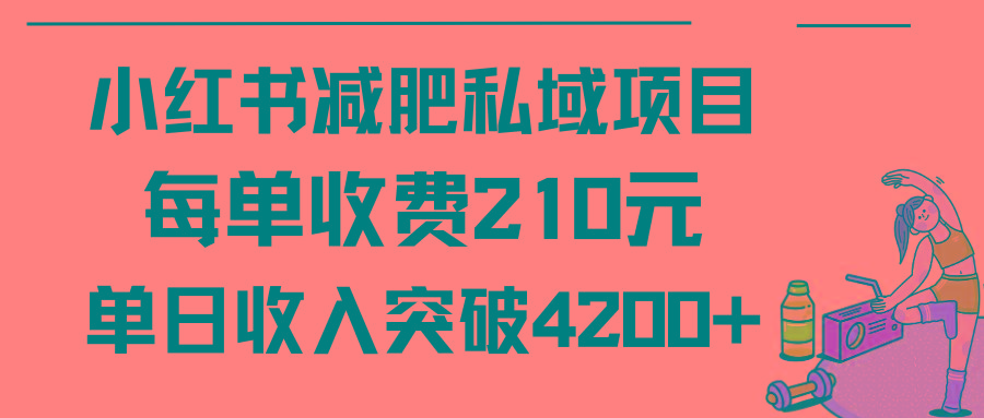 (9466期)小红书减肥私域项目每单收费210元单日成交20单，最高日入4200+ - 小毅网创-小毅网创