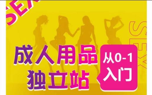成人用品独立站从0-1入门，成品独立站运营全流程教学，七大好卖成品独立站推荐 - 小毅网创-小毅网创