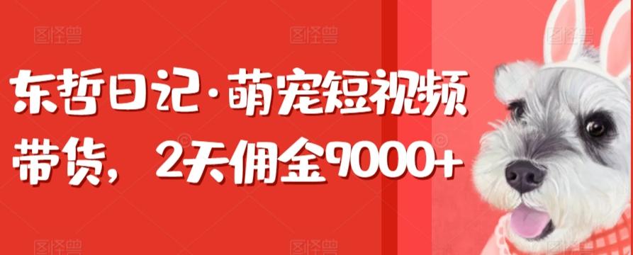 东哲日记·萌宠短视频带货，2天佣金9000+-小毅网创