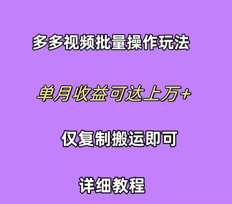 (10029期)拼多多视频带货快速过爆款选品教程 每天轻轻松松赚取三位数佣金 小白必... - 小毅网创-小毅网创
