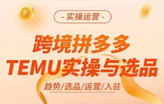 跨境拼多多TEMU实操与选品，多多temu跨境选品运营实操-小毅网创