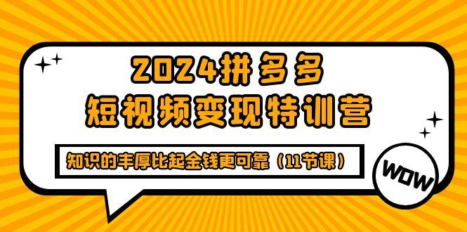 (9817期)2024拼多多短视频变现特训营，知识的丰厚比起金钱更可靠(11节课) - 小毅网创-小毅网创