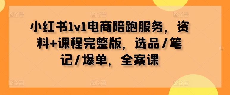 小红书1v1电商陪跑服务，资料+课程完整版，选品/笔记/爆单，全案课 - 小毅网创-小毅网创