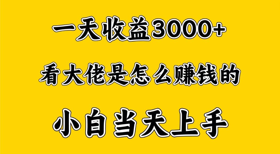 一天赚3000多，大佬是这样赚到钱的，小白当天上手，穷人翻身项目 - 小毅网创-小毅网创