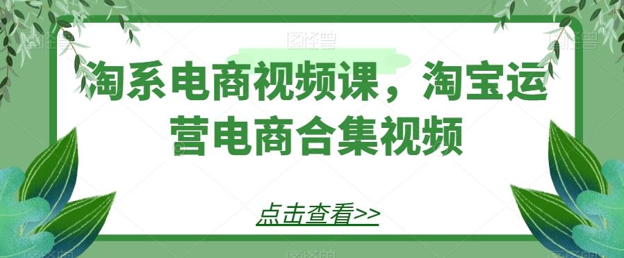 淘系电商视频课，淘宝运营电商合集视频-小毅网创