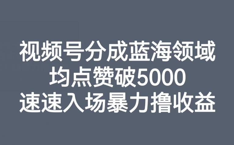 视频号分成蓝海领域，均点赞破5000，速速入场暴力撸收益 - 小毅网创-小毅网创