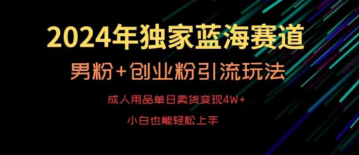2024年独家蓝海赛道，成人用品单日卖货变现4W+，男粉+创业粉引流玩法，不愁搞不到流量【揭秘】 - 小毅网创-小毅网创