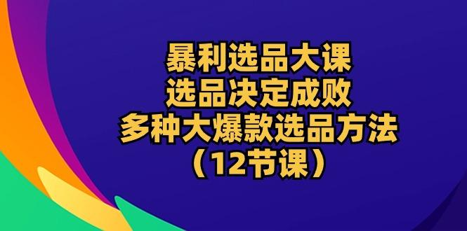 暴利 选品大课：选品决定成败，教你多种大爆款选品方法(12节课 - 小毅网创-小毅网创