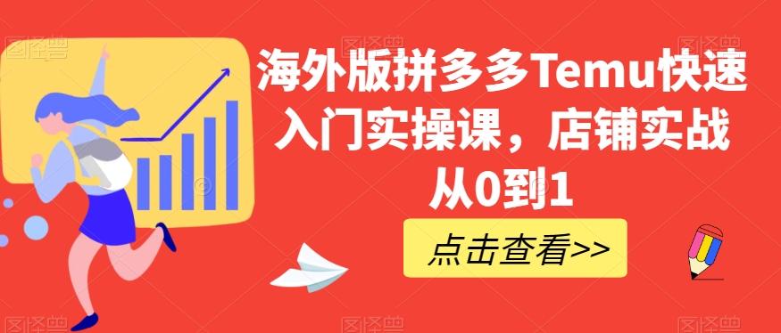 海外版拼多多Temu快速入门实操课，店铺实战从0到1 - 小毅网创-小毅网创