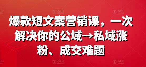 爆款短文案营销课，一次解决你的公域→私域涨粉、成交难题-小毅网创