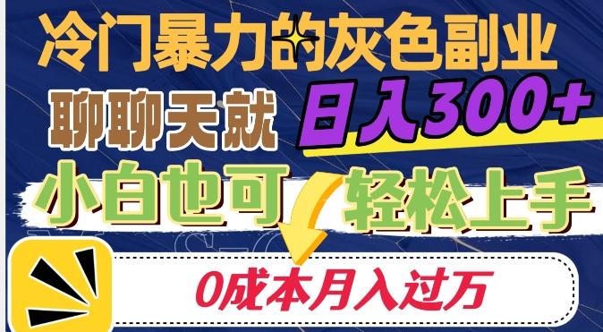 冷门暴利的副业项目，聊聊天就能日入300+，0成本月入过万【揭秘】 - 小毅网创-小毅网创