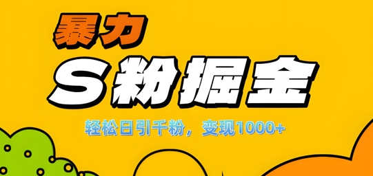 单人单机日引千粉，变现1k+，S粉流量掘金计划攻略【揭秘】-小毅网创