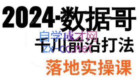 数据哥·2024年千川前沿打法落地实操课-小毅网创