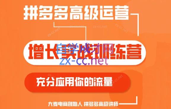 大麦老师·拼多多单品爆款打造课程(更新6月)-小毅网创