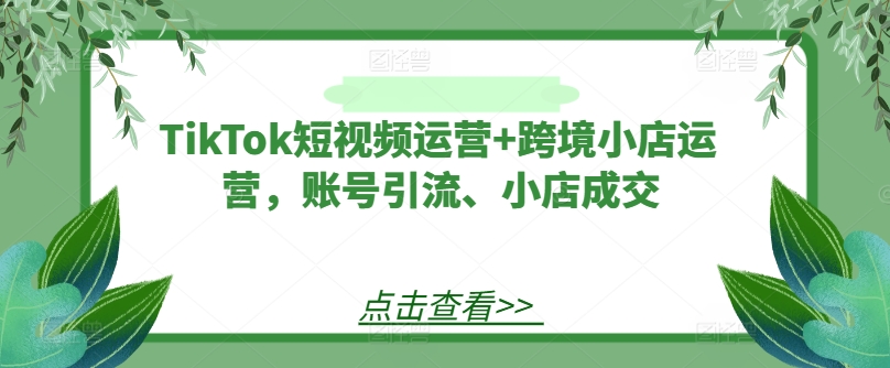 TikTok短视频运营+跨境小店运营，账号引流、小店成交 - 小毅网创-小毅网创