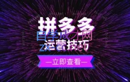 力辛电商·拼多多强付费店群玩法 - 小毅网创-小毅网创