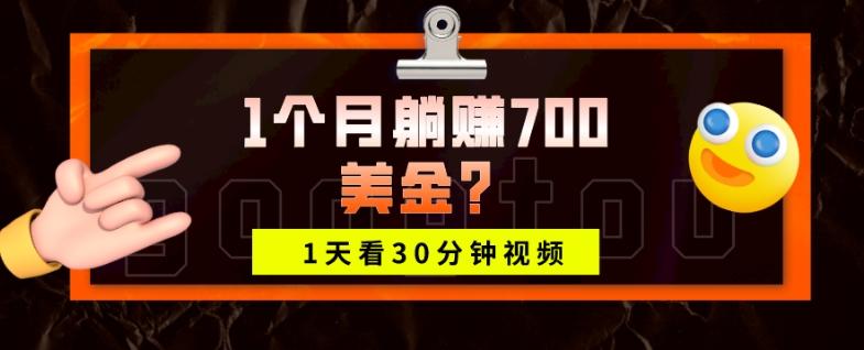 1天看30分钟视频，1个月躺赚700美金？ - 小毅网创-小毅网创
