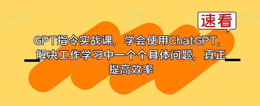 GPT指令实战课，学会使用ChatGPT，解决工作学习中一个个具体问题，真正提高效率 - 小毅网创-小毅网创
