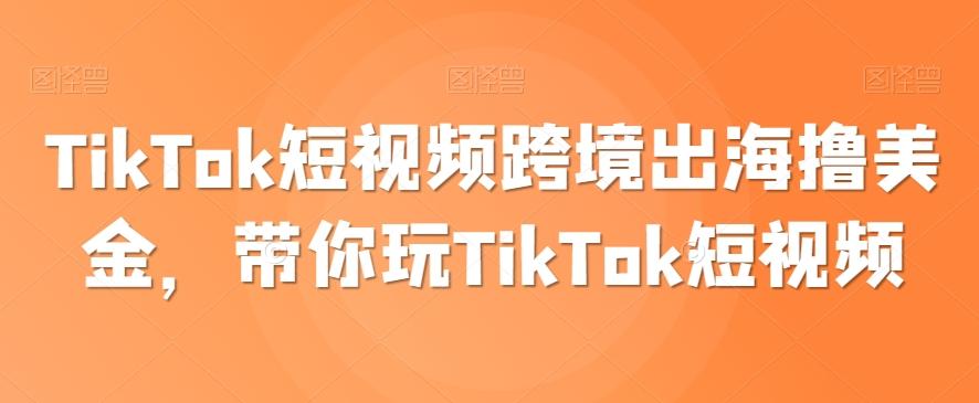 TikTok短视频跨境出海撸美金，带你玩TikTok短视频-小毅网创