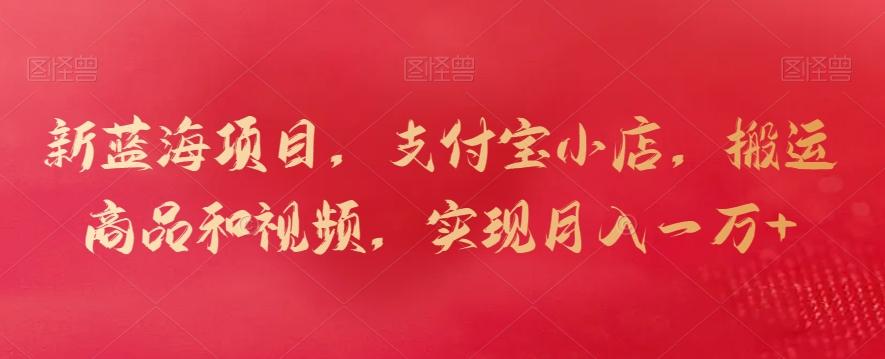 新蓝海项目，支付宝小店，搬运商品和视频，实现月入一万+【揭秘】 - 小毅网创-小毅网创