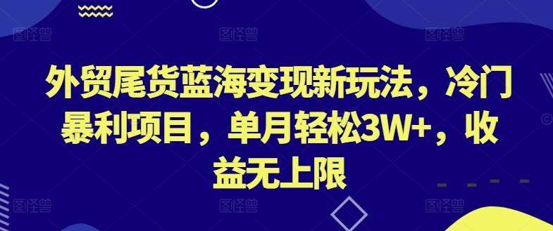 外贸尾货蓝海变现新玩法，冷门暴利项目，单月轻松3W+，收益无上限【揭秘】 - 小毅网创-小毅网创