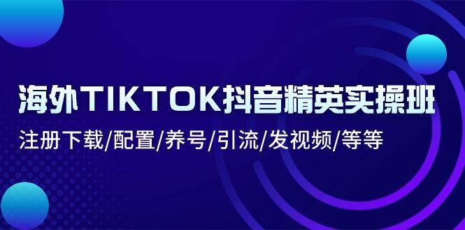 海外TIKTOK抖音精英实操班：注册下载/配置/养号/引流/发视频/等等-小毅网创