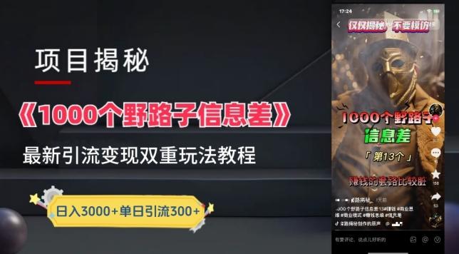 一千个野路子信息差最新玩法教程-变现+引流的玩法具体拆解【揭秘】 - 小毅网创-小毅网创