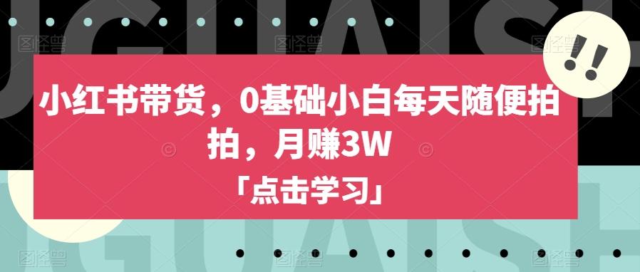 小红书带货，0基础小白每天随便拍拍，月赚3W【揭秘】 - 小毅网创-小毅网创