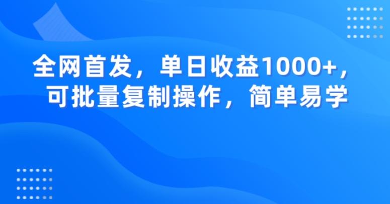 全网首发，单日收益1000+，可批量复制操作，简单易学【揭秘】 - 小毅网创-小毅网创
