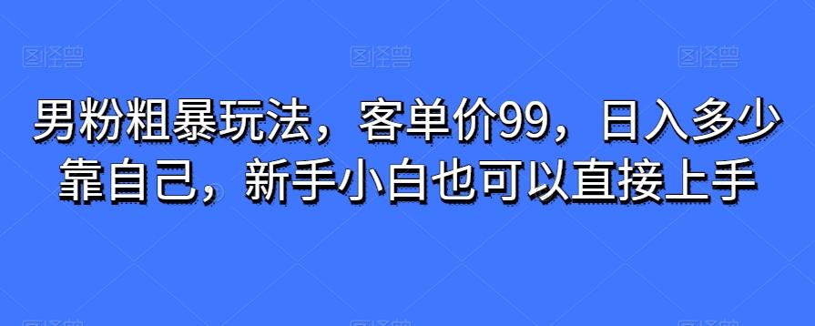 男粉粗暴玩法，客单价99，日入多少靠自己，新手小白也可以直接上手-小毅网创