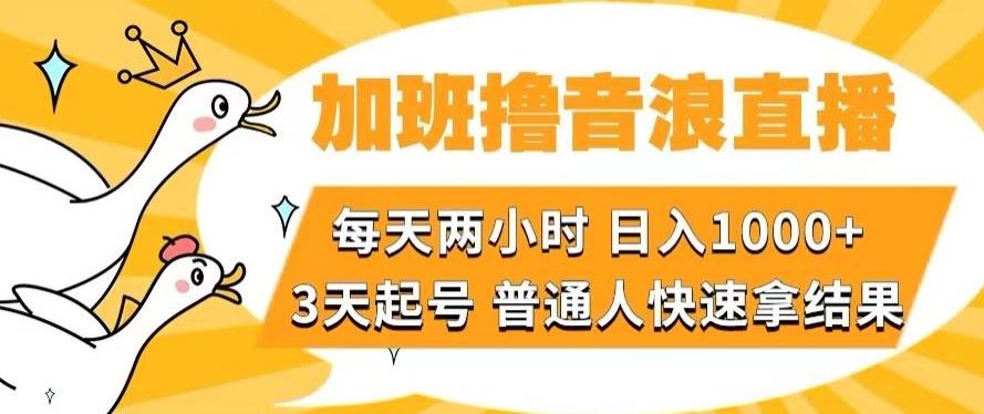 加班撸音浪直播，每天两小时，日入1000+，直播话术才3句，3天起号，普通人快速拿结果【揭秘】-小毅网创