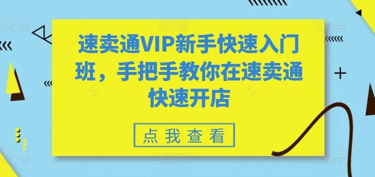 速卖通VIP新手快速入门班，手把手教你在速卖通快速开店 - 小毅网创-小毅网创