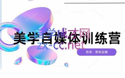 安娜·美学自媒体IP系统课-小毅网创