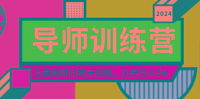 《导师训练营》精准粉丝引流的天花板，小白月入2w - 小毅网创-小毅网创