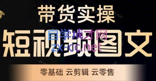 鑫哥·2024零基础短视频带货实操营-小毅网创
