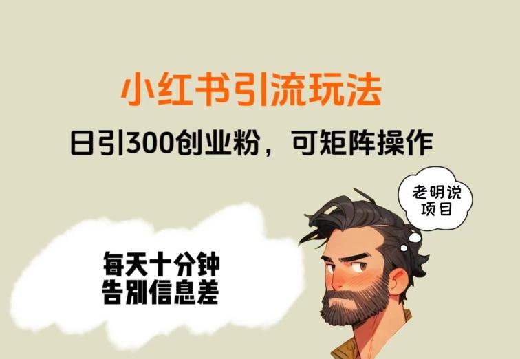 靠小红书视频日印300粉，两分钟一个视频轻松矩阵 - 小毅网创-小毅网创