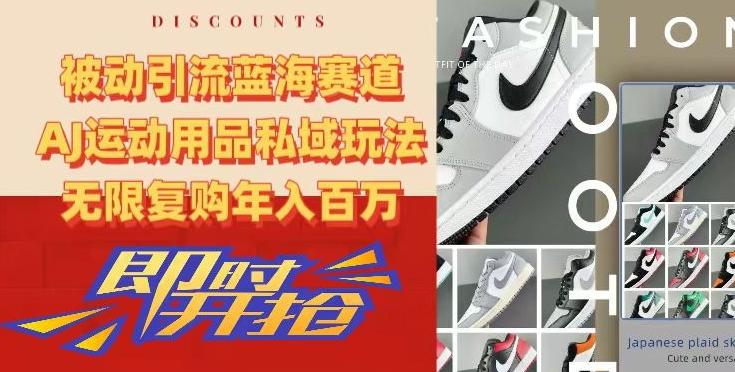 被动引流蓝海赛道，AJ运动用品私域玩法，无限复购年入百万【揭秘】-小毅网创