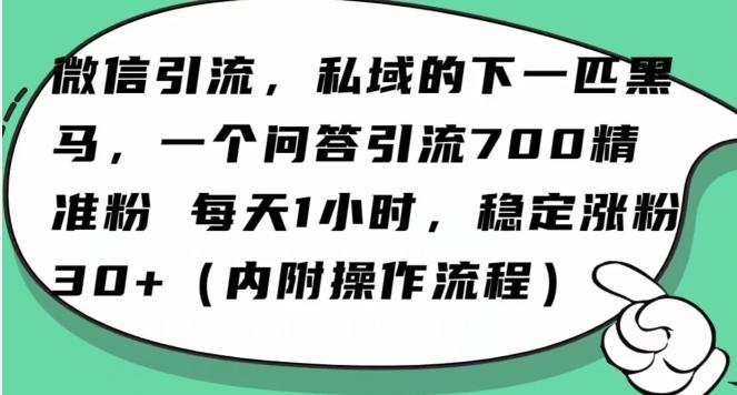 怎么搞精准创业粉？微信新赛道，每天一小时，利用Ai一个问答日引100精准粉-小毅网创