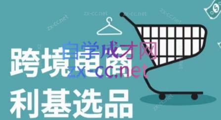 阿甘·2024年跨境电商选品案例(更新)-小毅网创