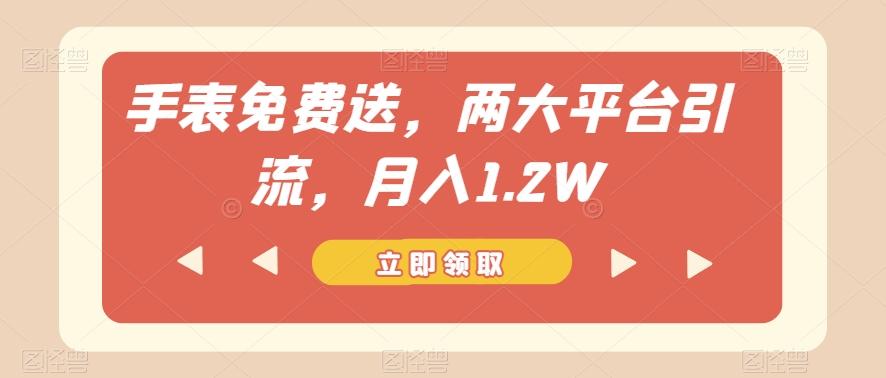 手表免费送，两大平台引流，月入1.2W【揭秘】-小毅网创