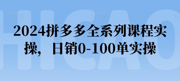 2024拼多多全系列课程实操，日销0-100单实操【必看】 - 小毅网创-小毅网创